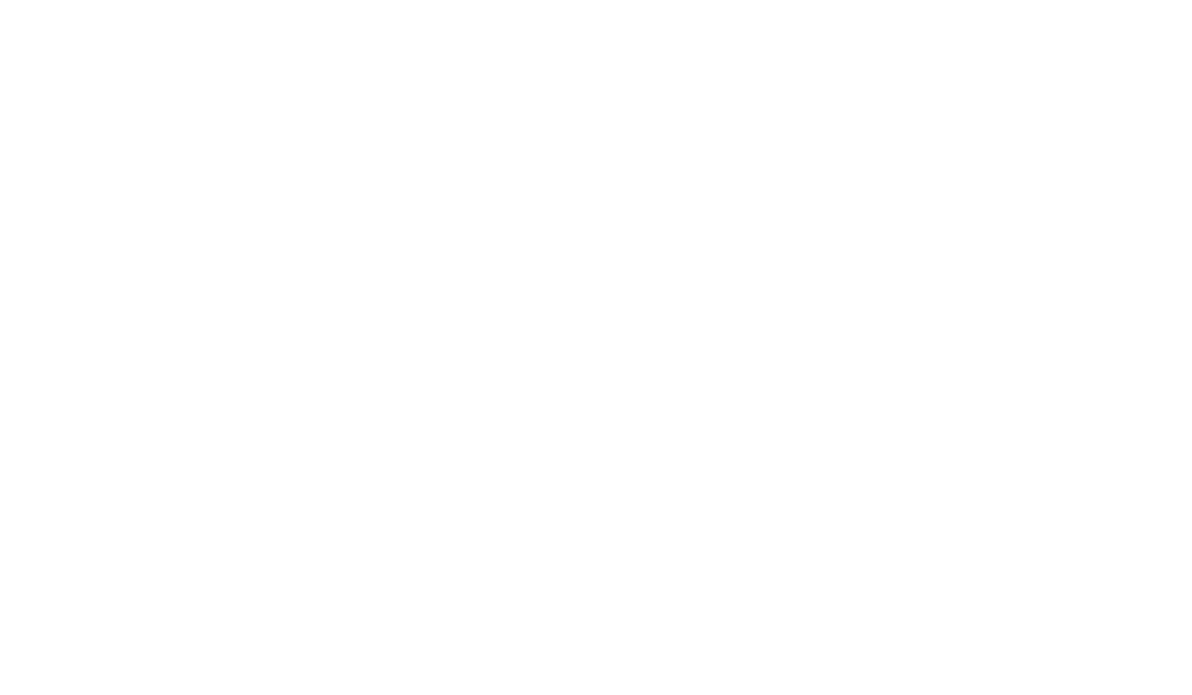 The Stock Lens